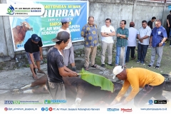 PTAM Jayapura kurbankan 7 ekor sapi pada Hari Raya Idul Adha 10 Dzulhijah 1444 Hijriah yang di hadiri oleh dewan komisaris dan direksi